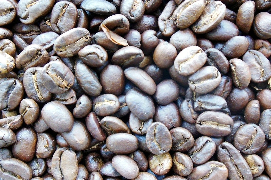 kopinian manfaat kopi luwak